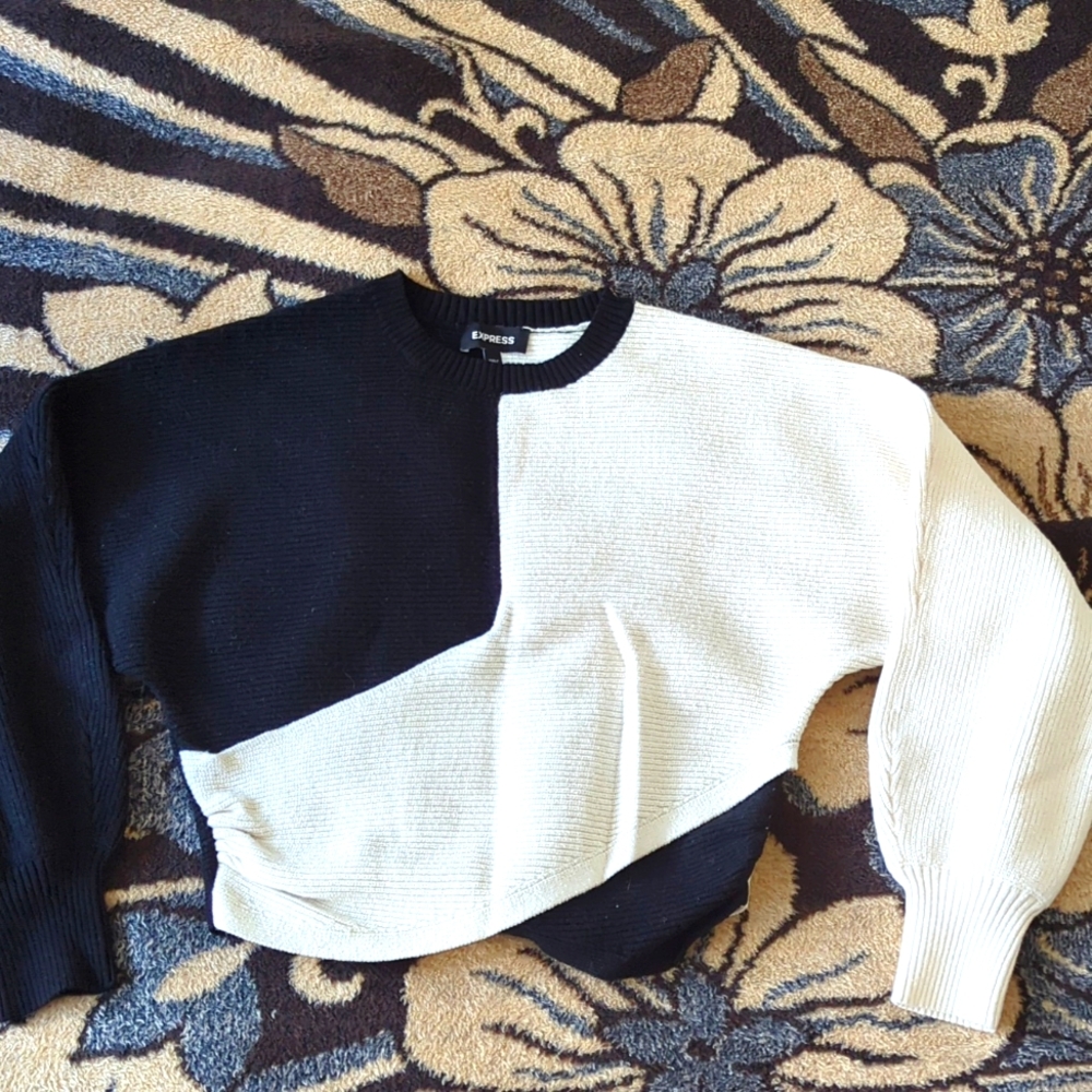 Express Color Block Sweater